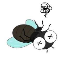 1 removebg preview